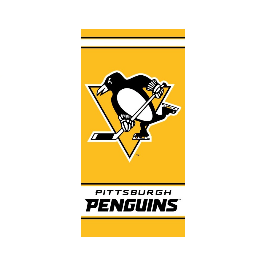 NHL PITTSBURGH PENGUINS OSUŠKA 